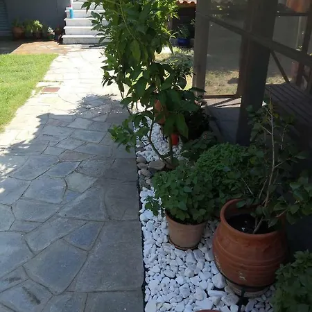 Menta